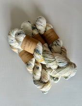 Load image into Gallery viewer, Superwash Merino - Sock Weight - Speckled Neutral